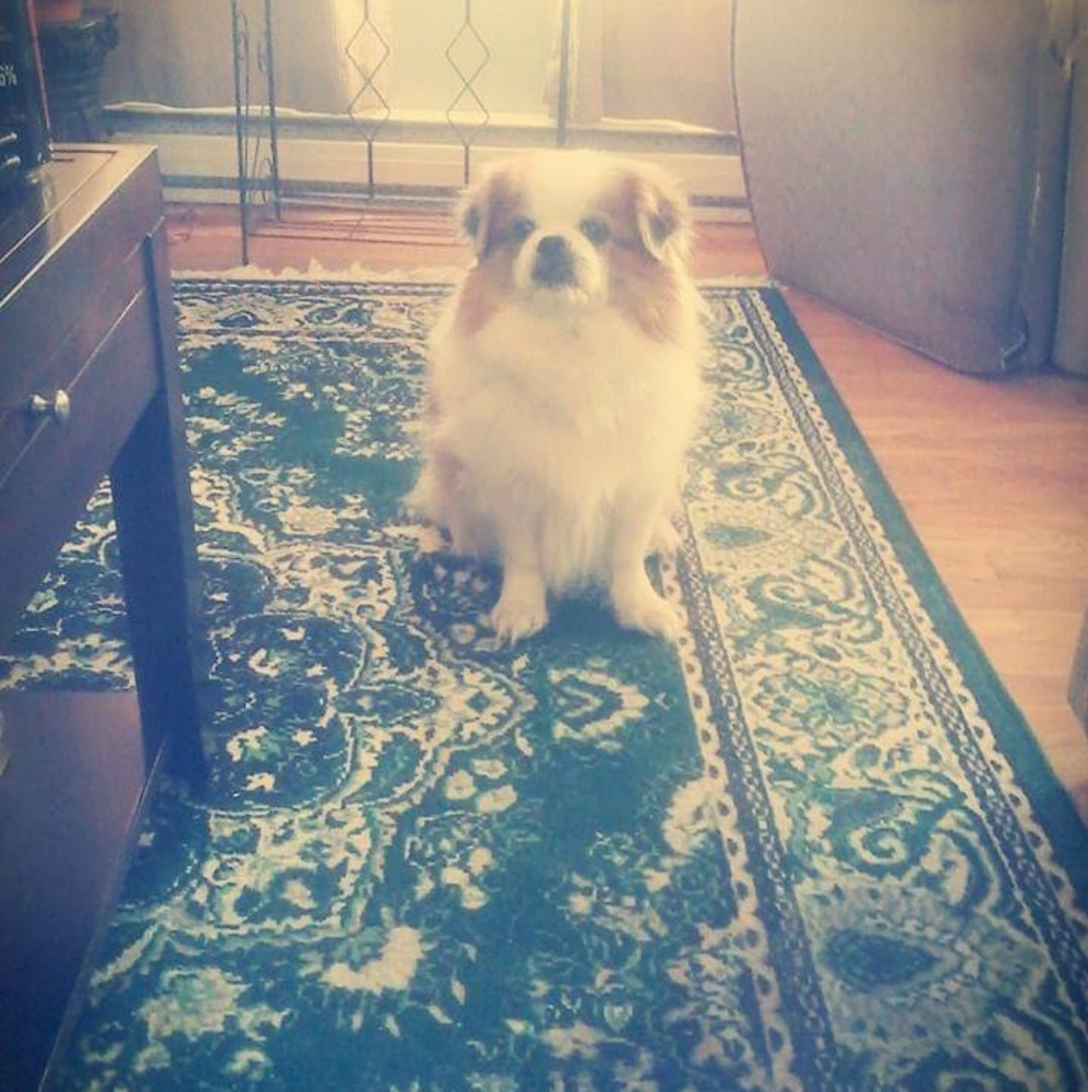 Meet your Posher, Kj